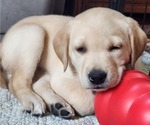 Small #19 Breeder Profile image
