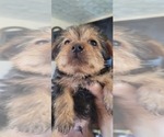 Small #168 Breeder Profile image