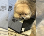 Small #10 Breeder Profile image