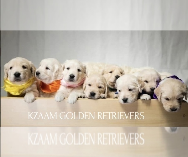 Medium Photo #1  Breeder Profile in PEORIA, AZ, USA