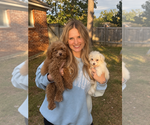 Small #8 Breeder Profile image