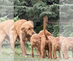 Small #10 Breeder Profile image