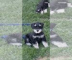 Small #2 Breeder Profile image