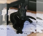 Small #1 Breeder Profile image