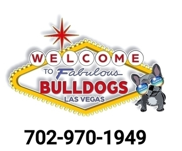 Medium Photo #1  Breeder Profile in LAS VEGAS, NV, USA