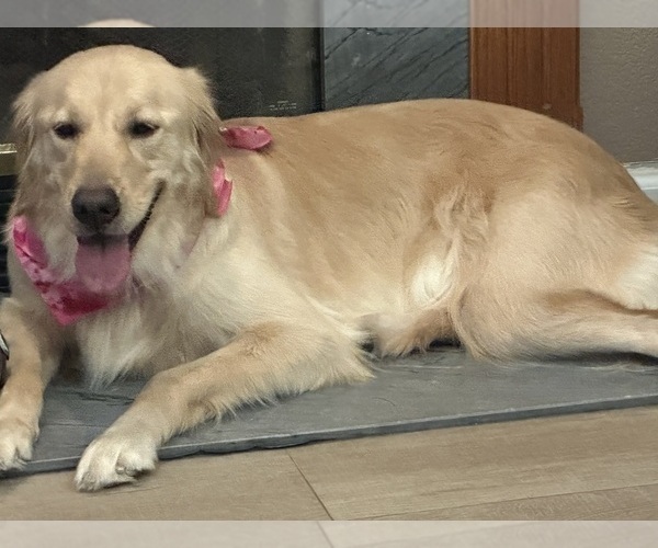 Medium Photo #1  Breeder Profile in GALT, CA, USA