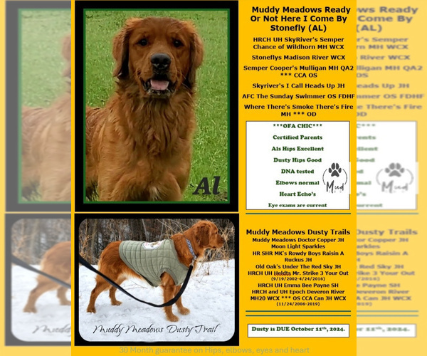 Medium Photo #4  Breeder Profile in KIMBALL, MN, USA