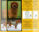 Small #3 Breeder Profile image