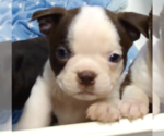 Small #7 Breeder Profile image