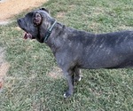 Small #21 Breeder Profile image