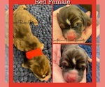 Small #5 Breeder Profile image