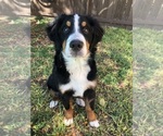Small #11 Breeder Profile image