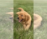 Small #13 Breeder Profile image