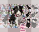Small #2 Breeder Profile image