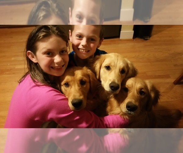 Medium Photo #1  Breeder Profile in ROSEVILLE, CA, USA