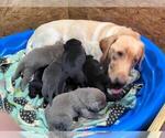 Small #7 Breeder Profile image