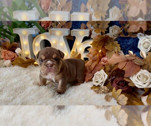 Medium Photo #10  Breeder Profile in OOLOGAH, OK, USA