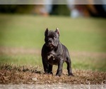 Small #21 Breeder Profile image