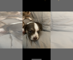 Small #4 Breeder Profile image