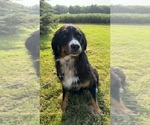Small #22 Breeder Profile image