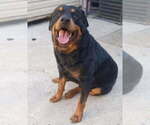 Small #4 Breeder Profile image