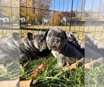 Small #1 Breeder Profile image