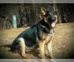 Small #3 Breeder Profile image