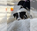 Small #6 Breeder Profile image