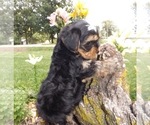 Small #7 Breeder Profile image