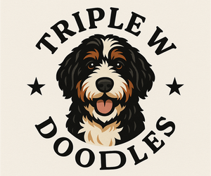Bernedoodle Dog Breeder near MOULTON, AL, USA