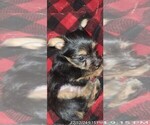 Small #353 Breeder Profile image
