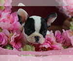 Small #5 Breeder Profile image