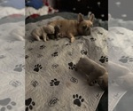 Small #21 Breeder Profile image