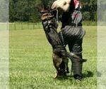 Small #4 Breeder Profile image