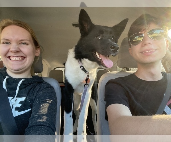 Medium Photo #63  Breeder Profile in MCDONOUGH, GA, USA