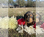 Small #2 Breeder Profile image