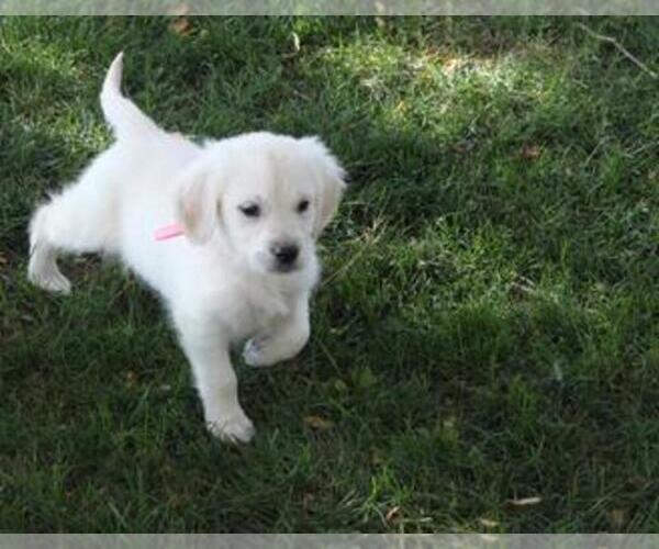 Medium Photo #1  Breeder Profile in FORT MORGAN, CO, USA