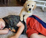 Small #1 Breeder Profile image