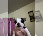 Small #3 Breeder Profile image