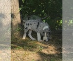 Small #4 Breeder Profile image