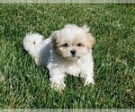 Small #2 Breeder Profile image