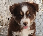 Small #16 Breeder Profile image