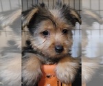 Small #162 Breeder Profile image