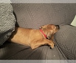 Small #20 Breeder Profile image
