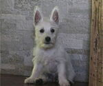 Small #6 Breeder Profile image