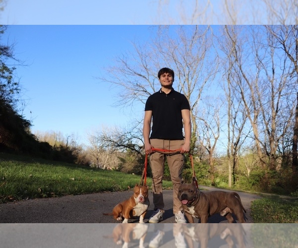 Medium Photo #1  Breeder Profile in BLUE SPRINGS, MO, USA