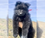 Small #133 Breeder Profile image