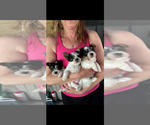 Small #4 Breeder Profile image