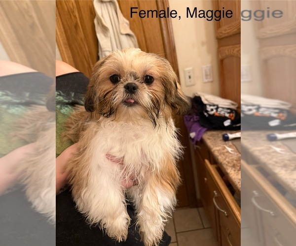 Medium Photo #8  Breeder Profile in HILLSBOROUGH, NJ, USA