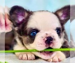 Small #3 Breeder Profile image
